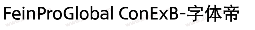 FeinProGlobal ConExB字体转换